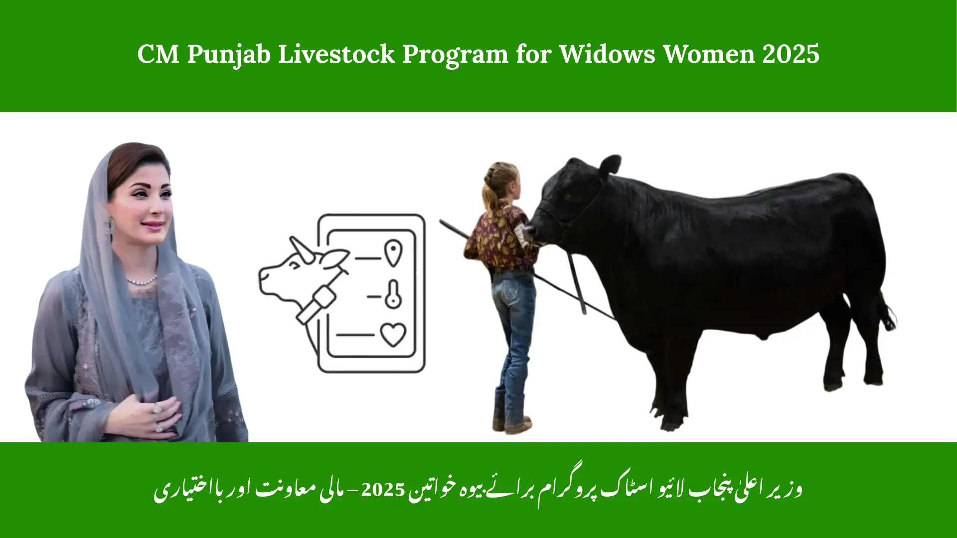 CM Punjab Livestock Program for Widows Women 2025