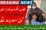 Punjab Teacher License 2025 Mandatory
