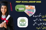 PEEF Scholarship