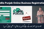 eBiz Punjab Online Business Registration