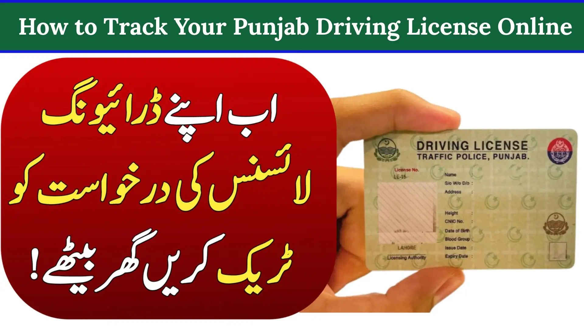 How to Track Your Punjab Driving License Online at DLIMS Punjab