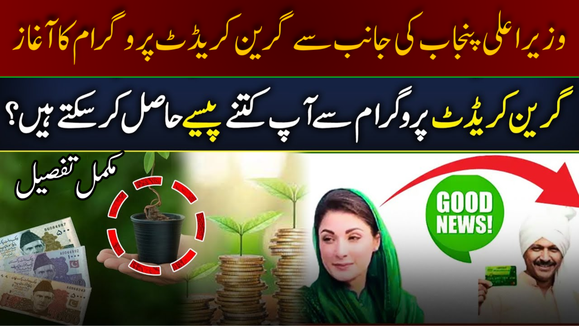 CM Punjab Green Credit Program 2026