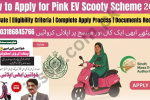 Sindh Free EV Scooty Scheme 2026