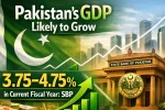 Pakistan GDP Likely to Grow 3.75–4.75